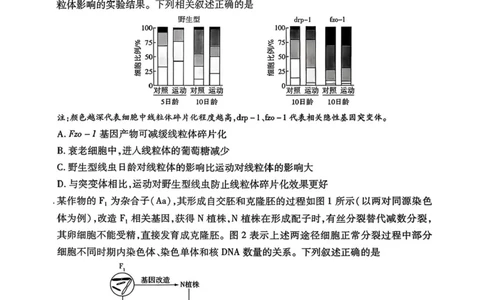 2026届湖南省湘西土家族苗族自治州高三上学期一模生物试题（含答案）_251103湖南2025~2026学年高三湘一名校联盟&天一大联考10月联考(湘西州一模)（全科）