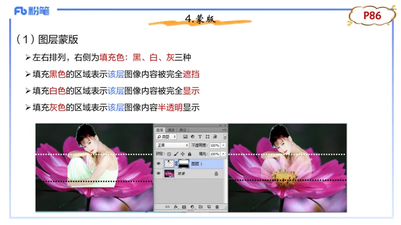 理论精讲07-多媒体技术3&middot;孙珍珍_4-教培资料-26年最新资料-同步更新_初中高中教资_03科三专项（进去保存报考的学科即可）_01科目三FB网课、三色速记手册、知识点导图等推荐