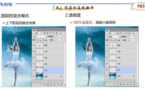 理论精讲07-多媒体技术3&middot;孙珍珍_4-教培资料-26年最新资料-同步更新_初中高中教资_03科三专项（进去保存报考的学科即可）_01科目三FB网课、三色速记手册、知识点导图等推荐