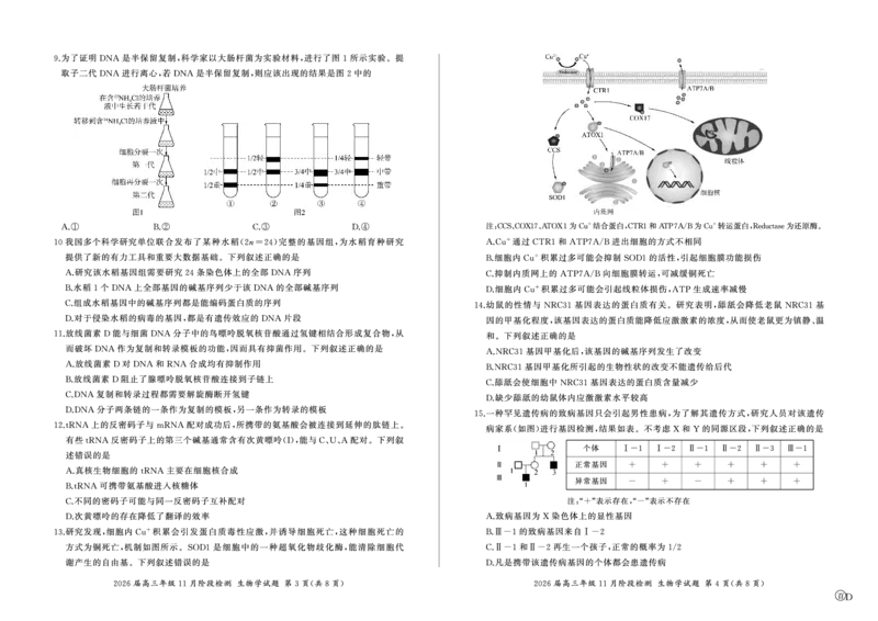 四川省百师联盟2026届高三年级11月阶段检测生物_251115四川省百师联盟2026届高三年级11月阶段检测（全科）