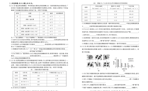 四川省百师联盟2026届高三年级11月阶段检测生物_251115四川省百师联盟2026届高三年级11月阶段检测（全科）