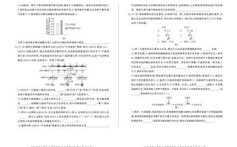 四川省百师联盟2026届高三年级11月阶段检测生物_251115四川省百师联盟2026届高三年级11月阶段检测（全科）