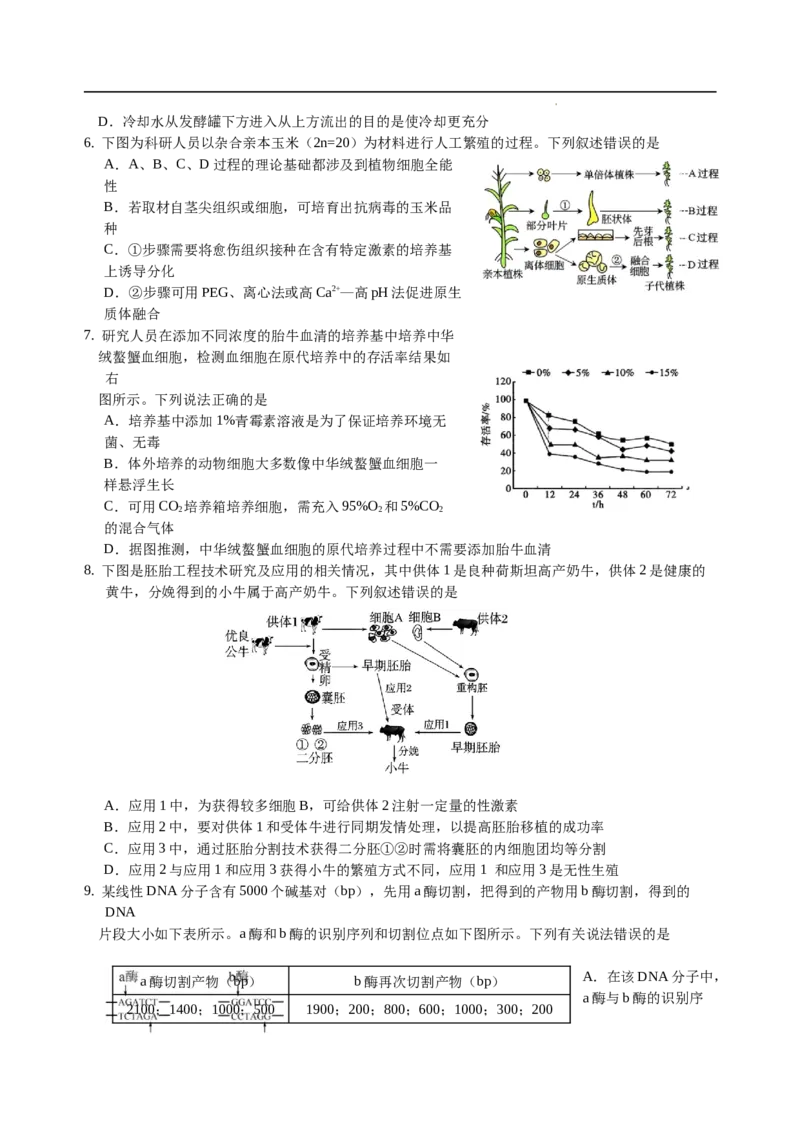 四川省绵阳外国语学校2024-2025学年高二下学期期末模拟考试生物试题_2025年6月_250630四川省绵阳外国语学校2024-2025学年高二下学期期末模拟考试试题