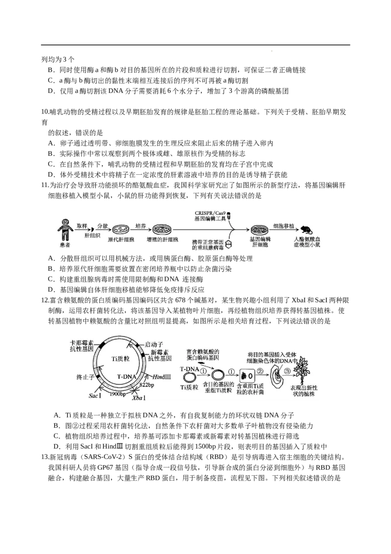 四川省绵阳外国语学校2024-2025学年高二下学期期末模拟考试生物试题_2025年6月_250630四川省绵阳外国语学校2024-2025学年高二下学期期末模拟考试试题