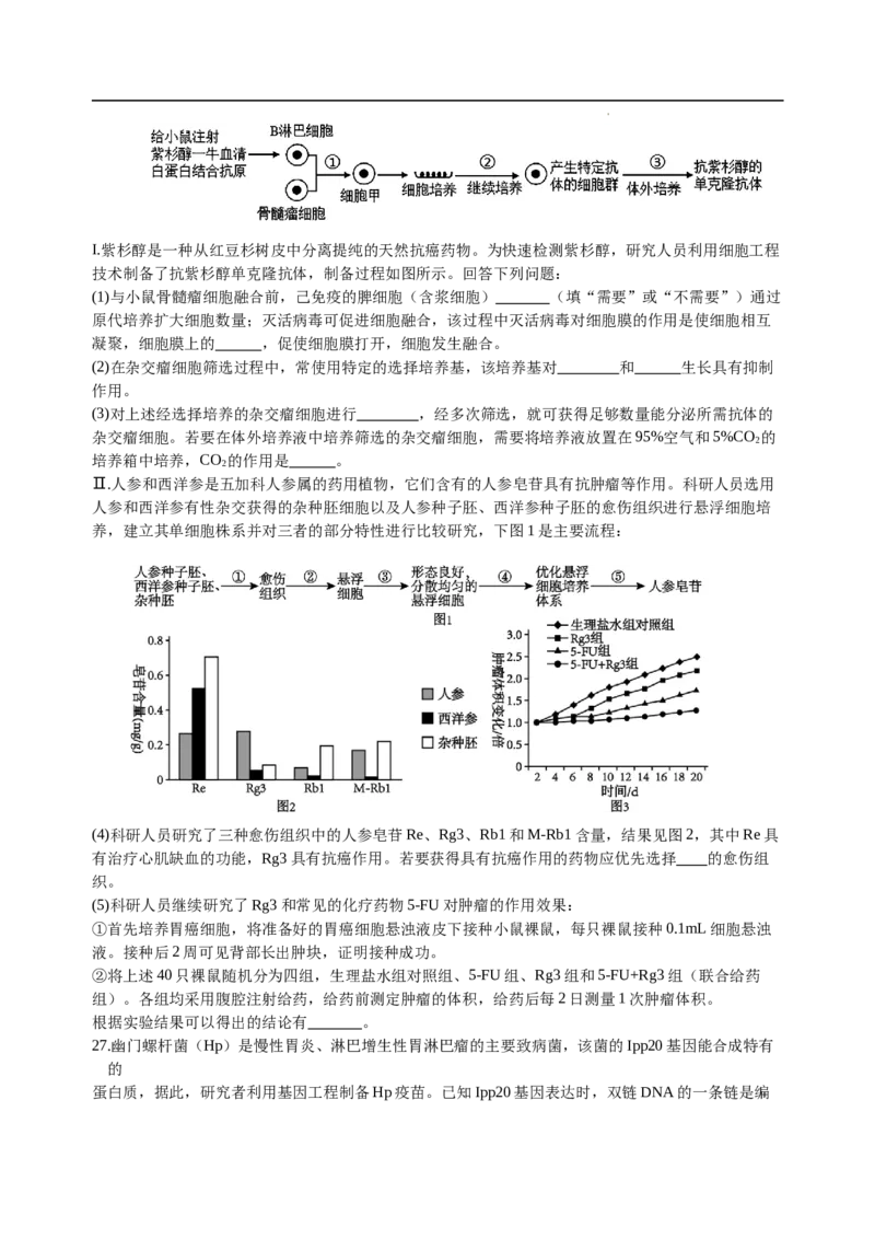 四川省绵阳外国语学校2024-2025学年高二下学期期末模拟考试生物试题_2025年6月_250630四川省绵阳外国语学校2024-2025学年高二下学期期末模拟考试试题