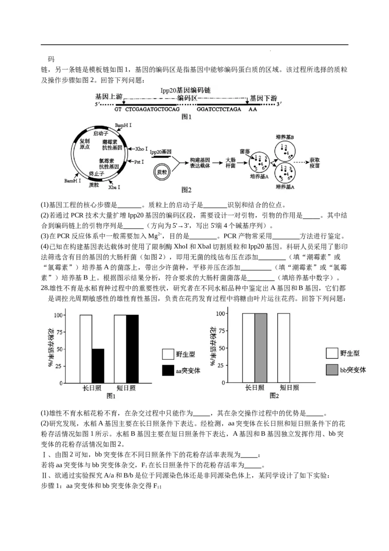 四川省绵阳外国语学校2024-2025学年高二下学期期末模拟考试生物试题_2025年6月_250630四川省绵阳外国语学校2024-2025学年高二下学期期末模拟考试试题