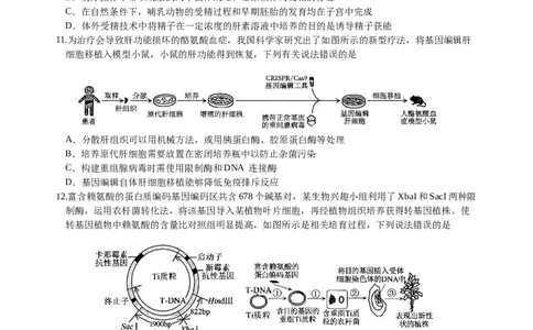 四川省绵阳外国语学校2024-2025学年高二下学期期末模拟考试生物试题_2025年6月_250630四川省绵阳外国语学校2024-2025学年高二下学期期末模拟考试试题