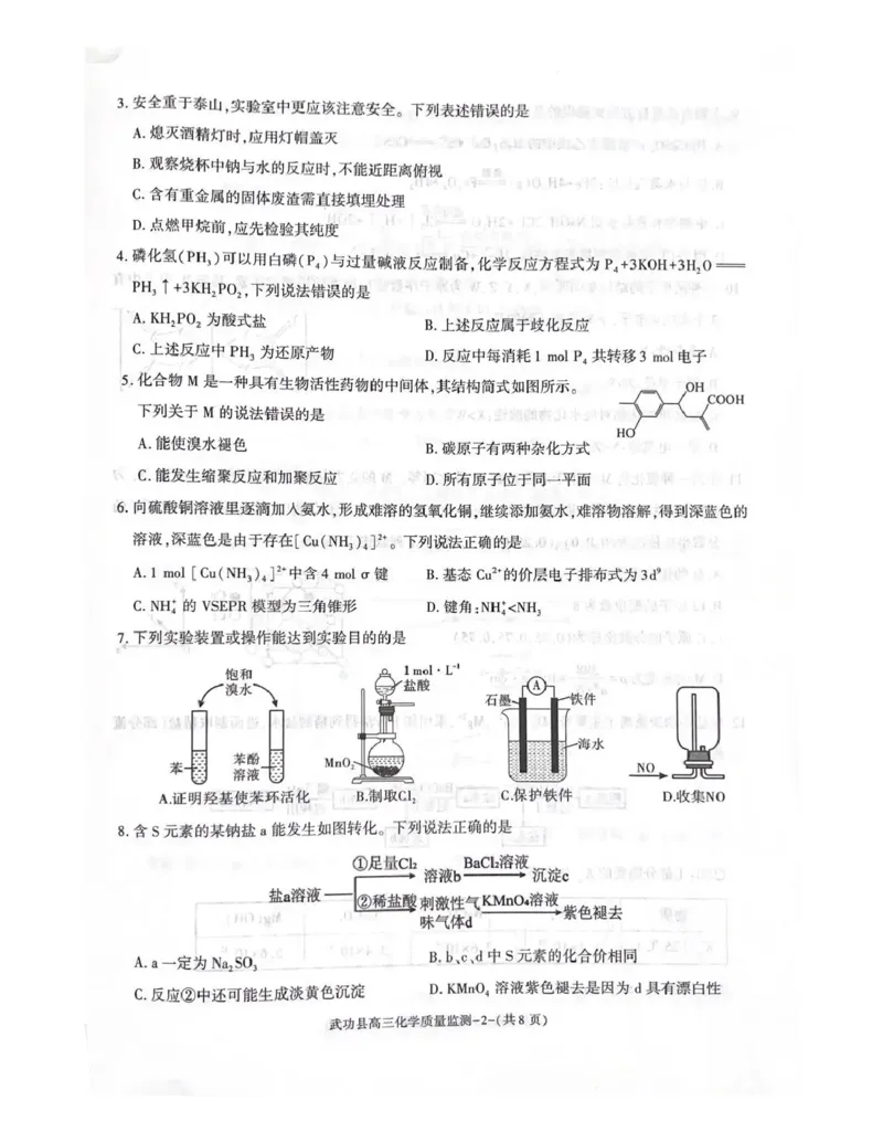 武功县2026届11月高三质量监测化学_251113陕西省咸阳市武功县2026届11月高三质量监测（全科）