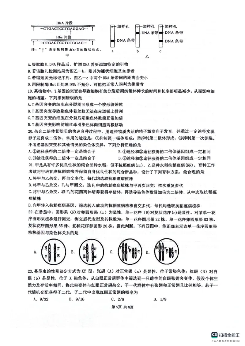 四川省绵阳南山中学2024-2025学年高二下学期6月月考生物+答案_2025年6月_250628四川省绵阳南山中学2024-2025学年高二下学期6月月考（期末热身考试）（全）