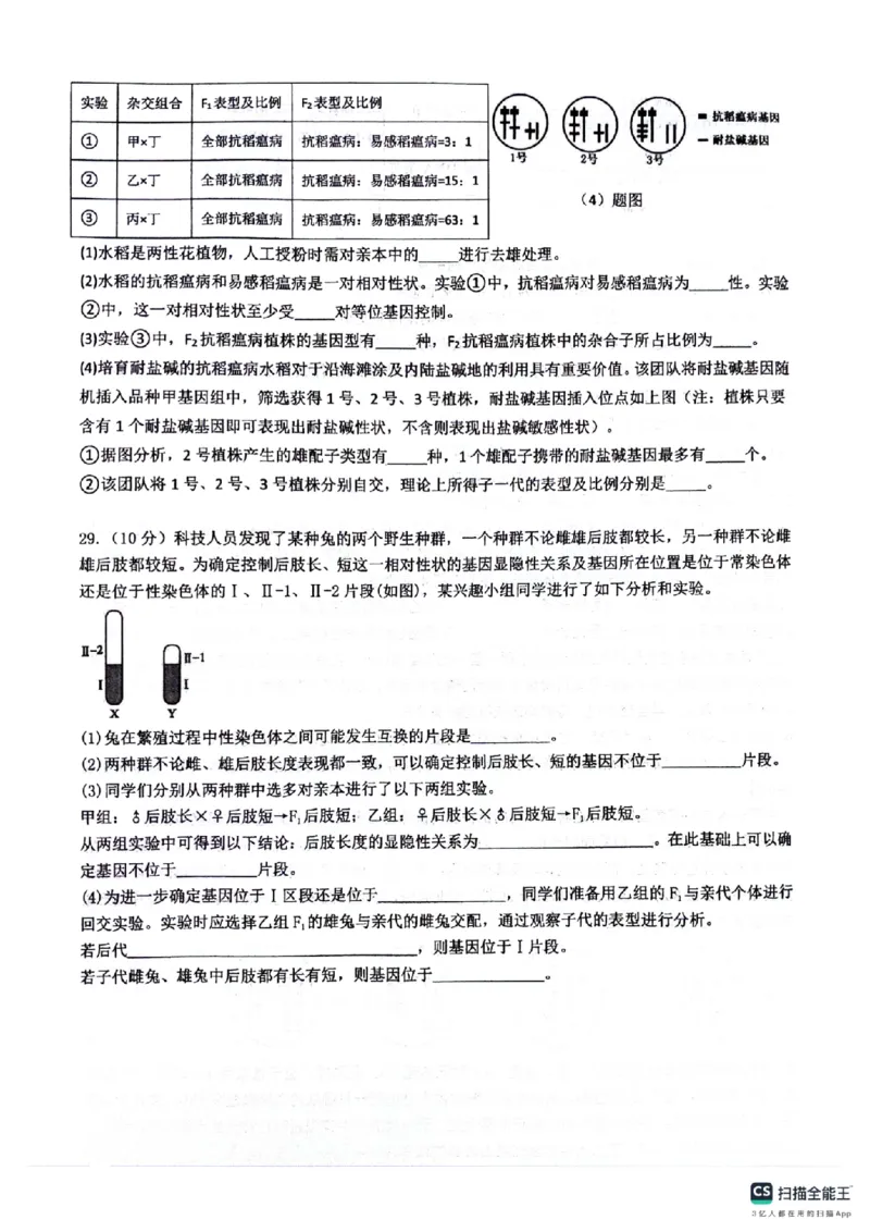 四川省绵阳南山中学2024-2025学年高二下学期6月月考生物+答案_2025年6月_250628四川省绵阳南山中学2024-2025学年高二下学期6月月考（期末热身考试）（全）