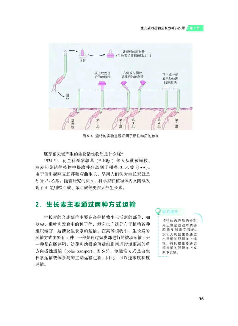 沪科技生物选修1高清教材_4-教培资料-26年最新资料-同步更新_初中高中教资_03科三专项（进去保存报考的学科即可）_02科三专项（笔记真题思维导图教学设计版本二）