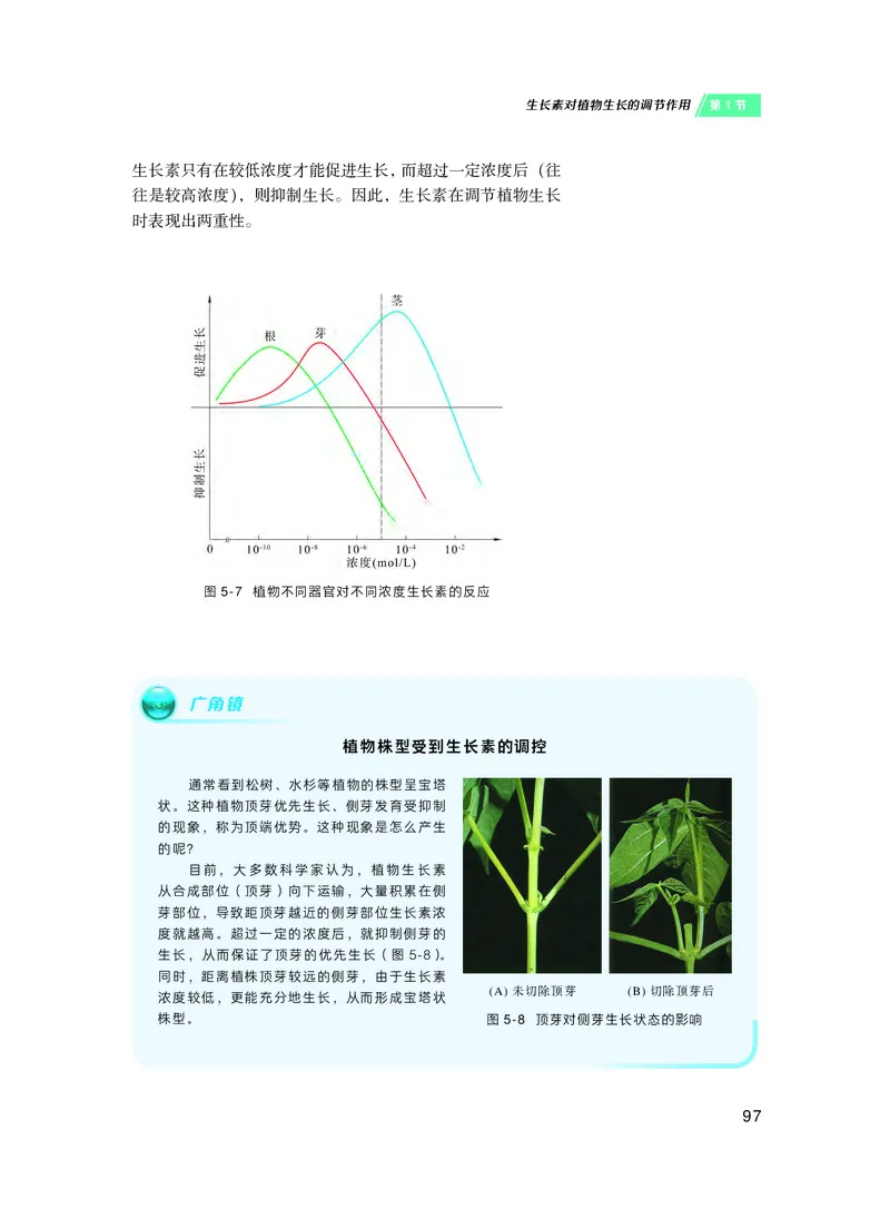 沪科技生物选修1高清教材_4-教培资料-26年最新资料-同步更新_初中高中教资_03科三专项（进去保存报考的学科即可）_02科三专项（笔记真题思维导图教学设计版本二）