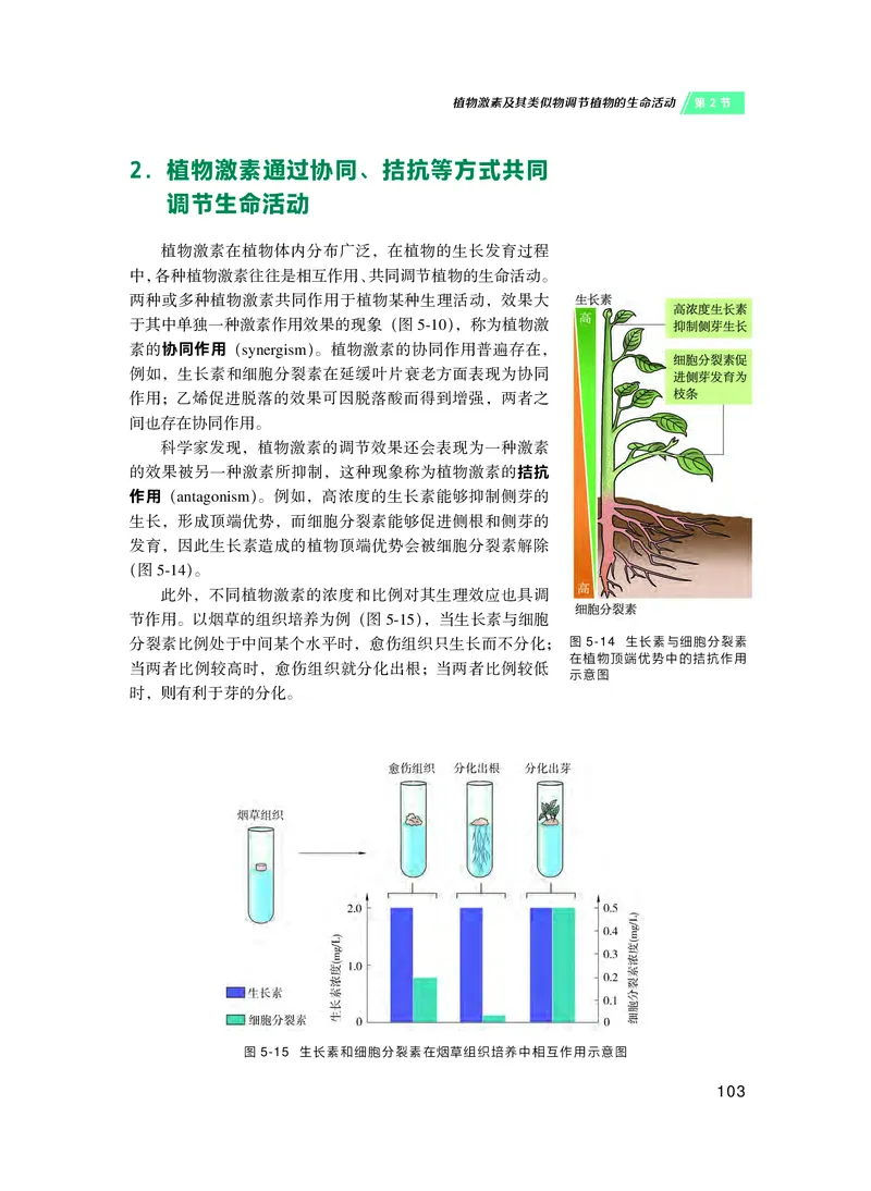 沪科技生物选修1高清教材_4-教培资料-26年最新资料-同步更新_初中高中教资_03科三专项（进去保存报考的学科即可）_02科三专项（笔记真题思维导图教学设计版本二）