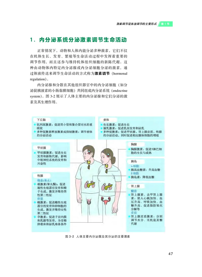沪科技生物选修1高清教材_4-教培资料-26年最新资料-同步更新_初中高中教资_03科三专项（进去保存报考的学科即可）_02科三专项（笔记真题思维导图教学设计版本二）