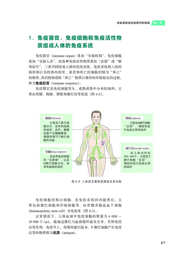 沪科技生物选修1高清教材_4-教培资料-26年最新资料-同步更新_初中高中教资_03科三专项（进去保存报考的学科即可）_02科三专项（笔记真题思维导图教学设计版本二）