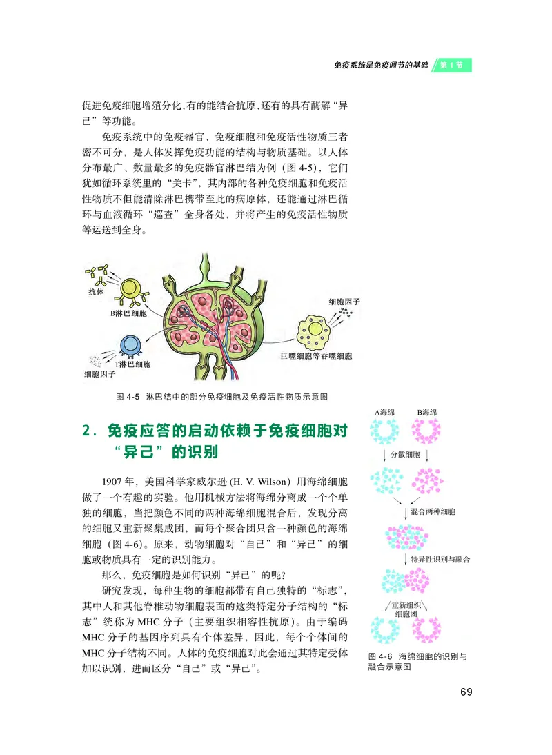 沪科技生物选修1高清教材_4-教培资料-26年最新资料-同步更新_初中高中教资_03科三专项（进去保存报考的学科即可）_02科三专项（笔记真题思维导图教学设计版本二）