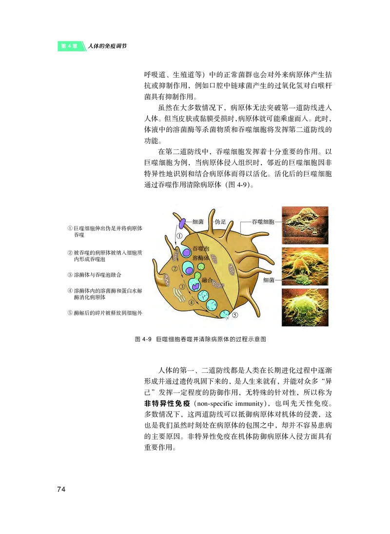 沪科技生物选修1高清教材_4-教培资料-26年最新资料-同步更新_初中高中教资_03科三专项（进去保存报考的学科即可）_02科三专项（笔记真题思维导图教学设计版本二）