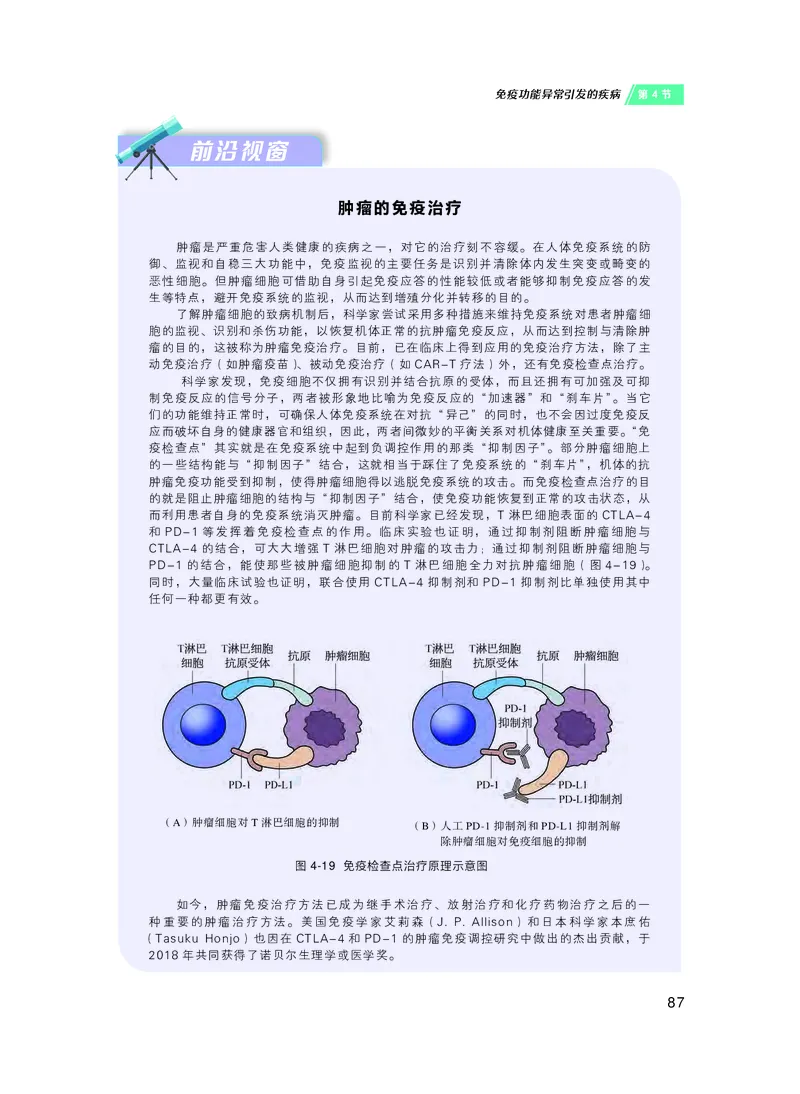 沪科技生物选修1高清教材_4-教培资料-26年最新资料-同步更新_初中高中教资_03科三专项（进去保存报考的学科即可）_02科三专项（笔记真题思维导图教学设计版本二）