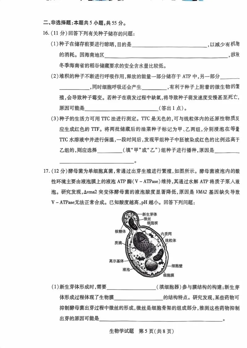 海南省2025&mdash;2026学年高三学业水平诊断（一）生物_251108天一大联考&middot;海南省2025&mdash;2026学年高三学业水平诊断（一）（全科）