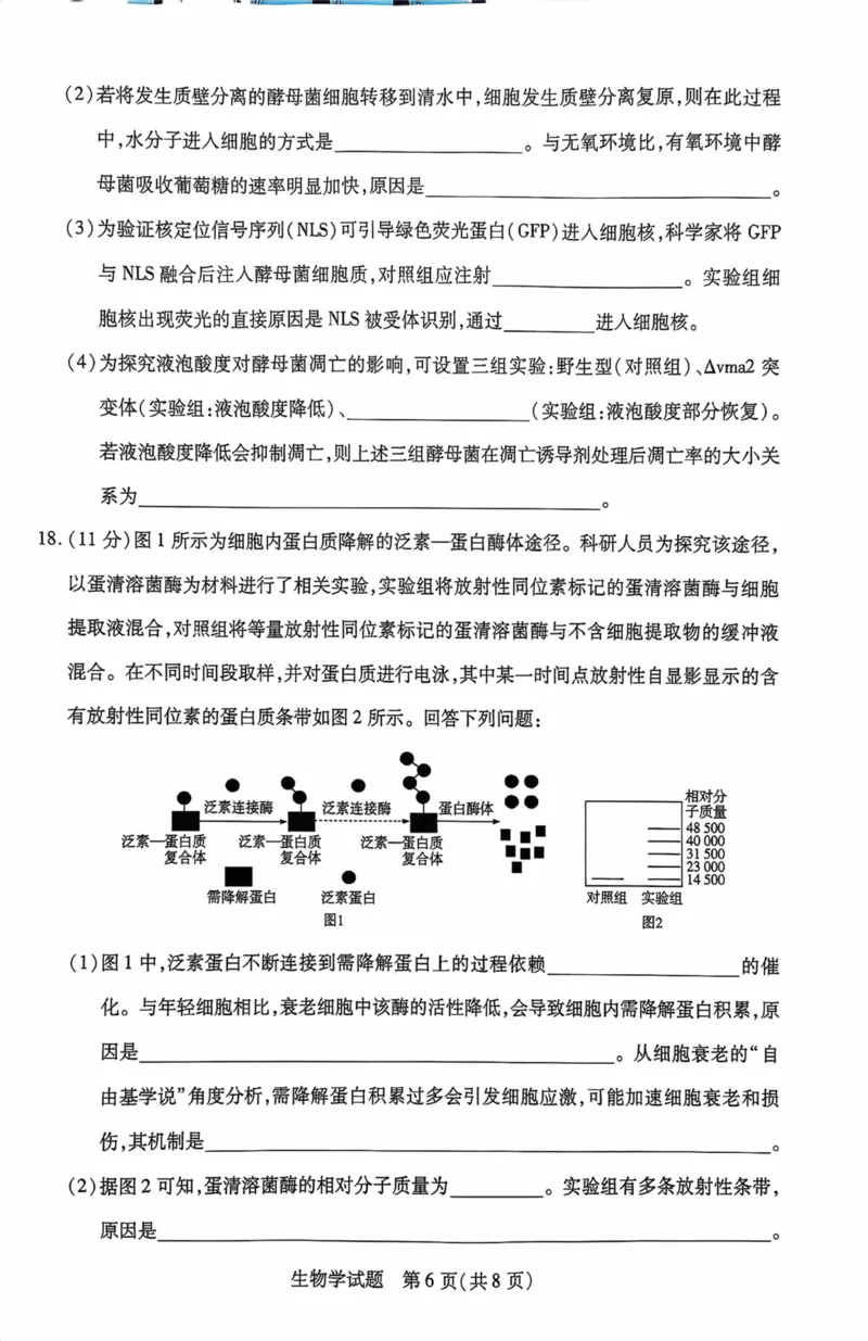 海南省2025&mdash;2026学年高三学业水平诊断（一）生物_251108天一大联考&middot;海南省2025&mdash;2026学年高三学业水平诊断（一）（全科）