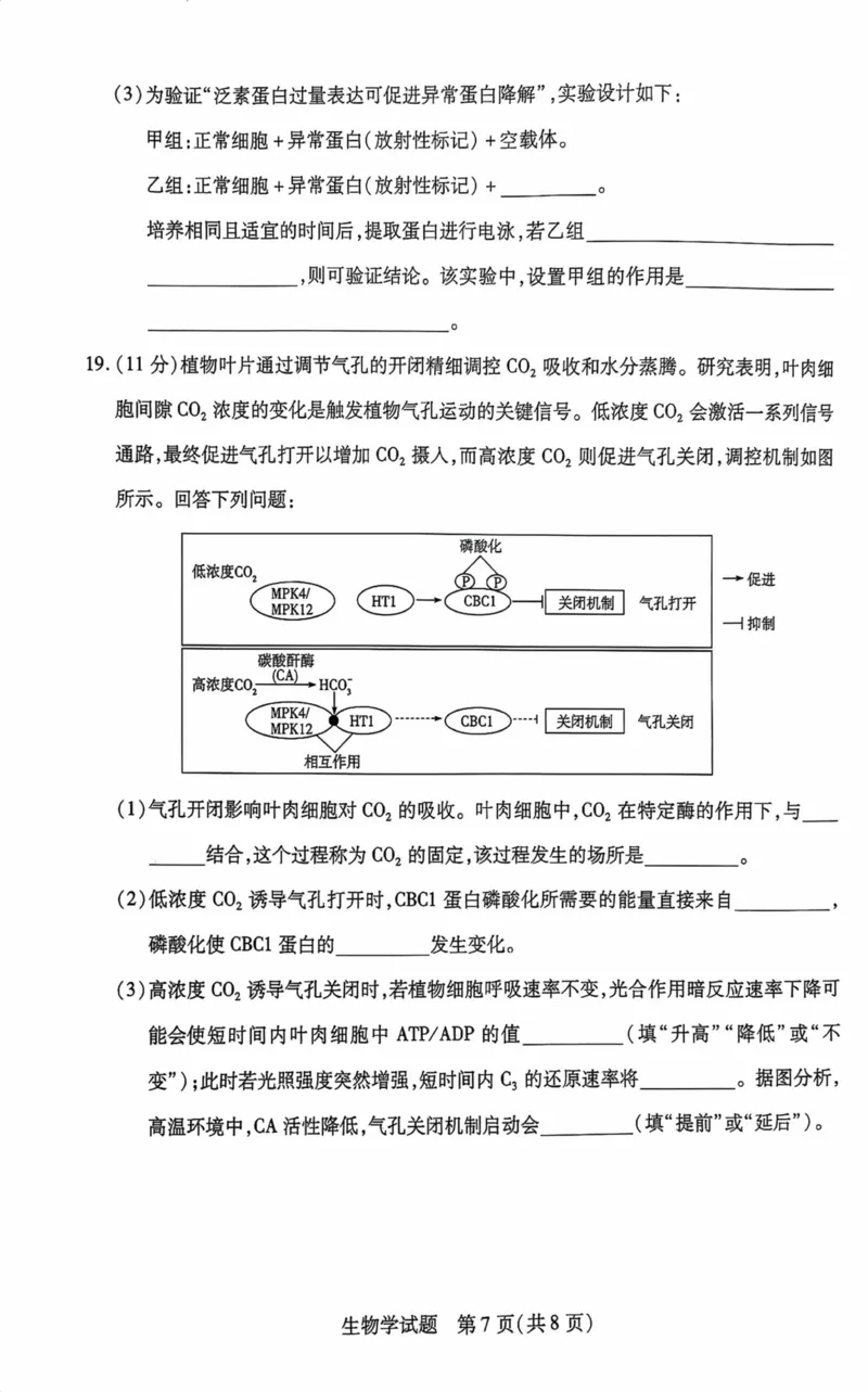 海南省2025&mdash;2026学年高三学业水平诊断（一）生物_251108天一大联考&middot;海南省2025&mdash;2026学年高三学业水平诊断（一）（全科）