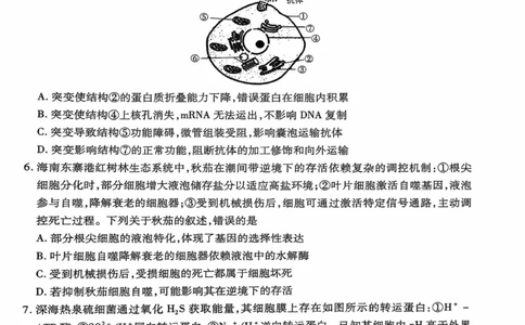 海南省2025&mdash;2026学年高三学业水平诊断（一）生物_251108天一大联考&middot;海南省2025&mdash;2026学年高三学业水平诊断（一）（全科）