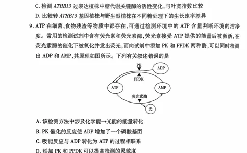 海南省2025&mdash;2026学年高三学业水平诊断（一）生物_251108天一大联考&middot;海南省2025&mdash;2026学年高三学业水平诊断（一）（全科）