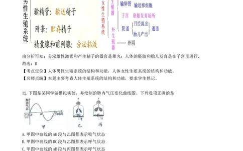 湖南省长沙市2017年中考生物真题试题（含解析）_中考真题_8.生物中考真题2015-2024年_2017年全国中考生物124份