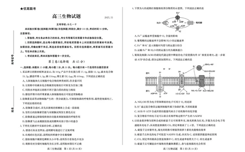 生物试卷(清晰版)-山东省德州市（优高联考）2026届高三年级期中上学期教学质量检测考试(11.12-11.14)_251115山东省德州市（优高联考）2026届高三年级期中上学期教学质量检测考试（全科）