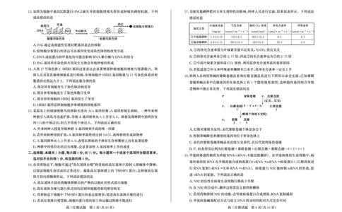 生物试卷(清晰版)-山东省德州市（优高联考）2026届高三年级期中上学期教学质量检测考试(11.12-11.14)_251115山东省德州市（优高联考）2026届高三年级期中上学期教学质量检测考试（全科）