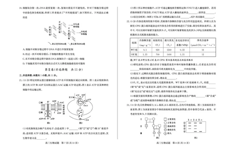 生物试卷(清晰版)-山东省德州市（优高联考）2026届高三年级期中上学期教学质量检测考试(11.12-11.14)_251115山东省德州市（优高联考）2026届高三年级期中上学期教学质量检测考试（全科）