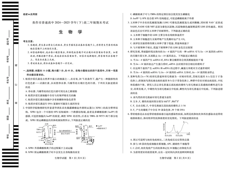 (8K,4页)生物学焦作高二下期末单色_2025年7月_250715天一大联考&middot;河南省焦作市普通高中2024-2025学年高二年级期末考试（全科）