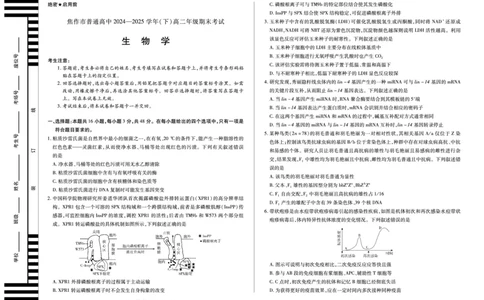 (8K,4页)生物学焦作高二下期末单色_2025年7月_250715天一大联考&middot;河南省焦作市普通高中2024-2025学年高二年级期末考试（全科）