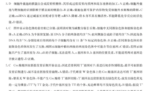 河南省2026届高三年级TOP二十名校调研考试二（26-X-308C）生物答案_2025年12月_251224河南省2026届高三年级TOP二十名校调研考试二（26-X-308C）（全科）