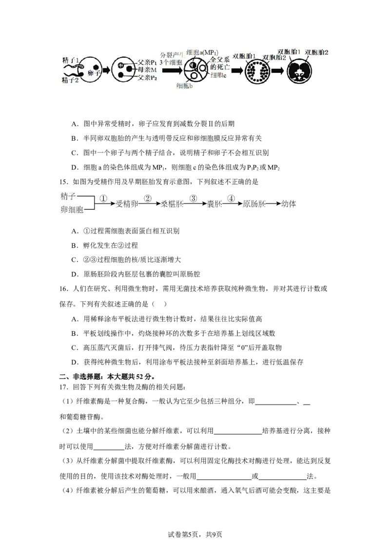 宁夏回族自治区石嘴山市惠农区石嘴山市第一中学2024-2025学年高二下学期6月月考生物试题_2025年6月_250630宁夏回族自治区石嘴山市第一中学2024-2025学年高二下学期6月月考试题（全科）