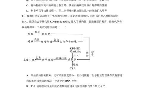 宁夏回族自治区石嘴山市惠农区石嘴山市第一中学2024-2025学年高二下学期6月月考生物试题_2025年6月_250630宁夏回族自治区石嘴山市第一中学2024-2025学年高二下学期6月月考试题（全科）