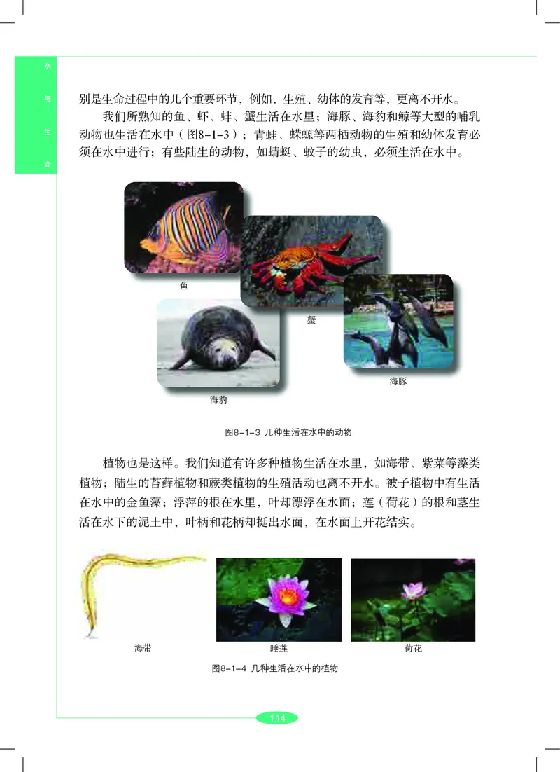 沪教版7年级科学下册高清教材_4-教培资料-26年最新资料-同步更新_初中高中教资_03科三专项（进去保存报考的学科即可）_02科三专项（笔记真题思维导图教学设计版本二）