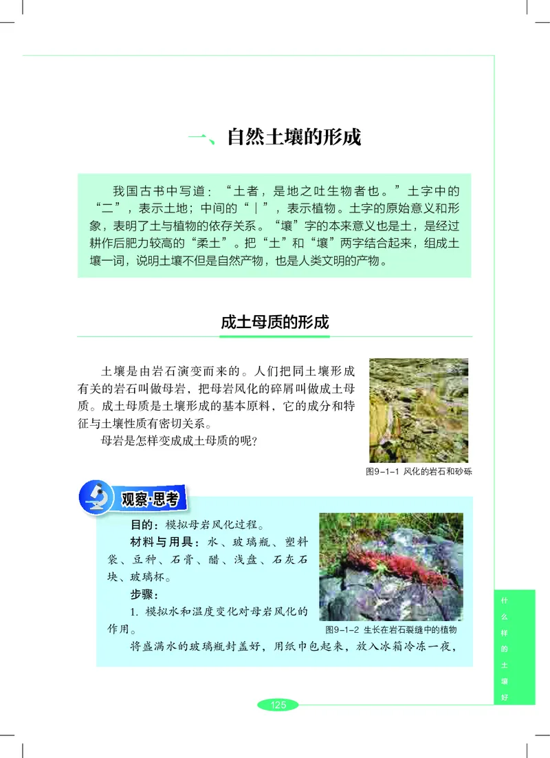 沪教版7年级科学下册高清教材_4-教培资料-26年最新资料-同步更新_初中高中教资_03科三专项（进去保存报考的学科即可）_02科三专项（笔记真题思维导图教学设计版本二）