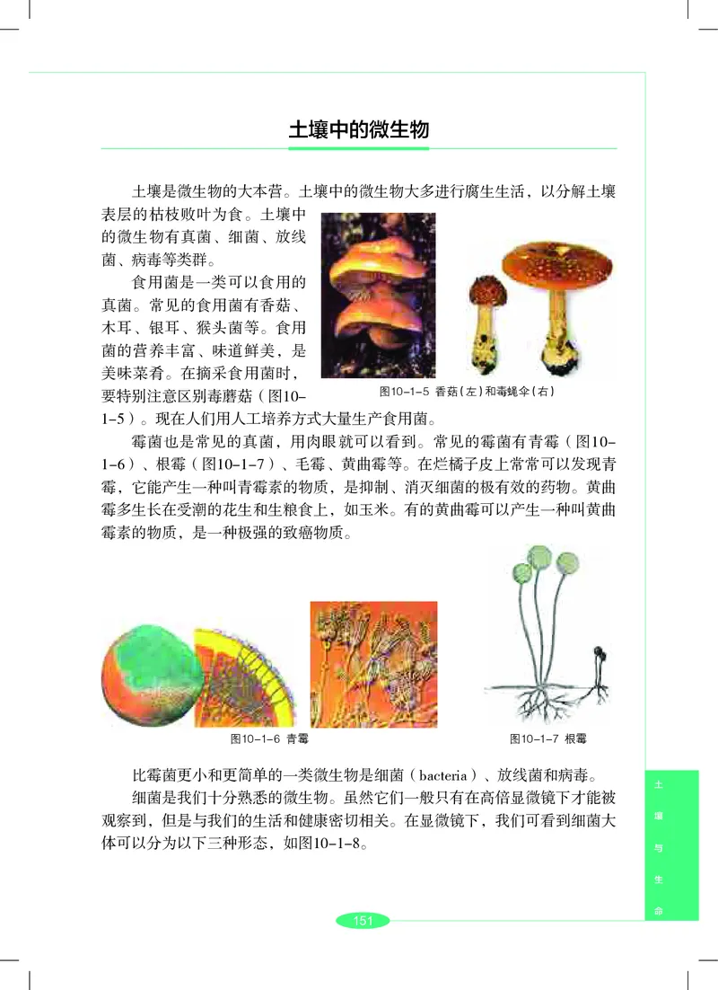 沪教版7年级科学下册高清教材_4-教培资料-26年最新资料-同步更新_初中高中教资_03科三专项（进去保存报考的学科即可）_02科三专项（笔记真题思维导图教学设计版本二）