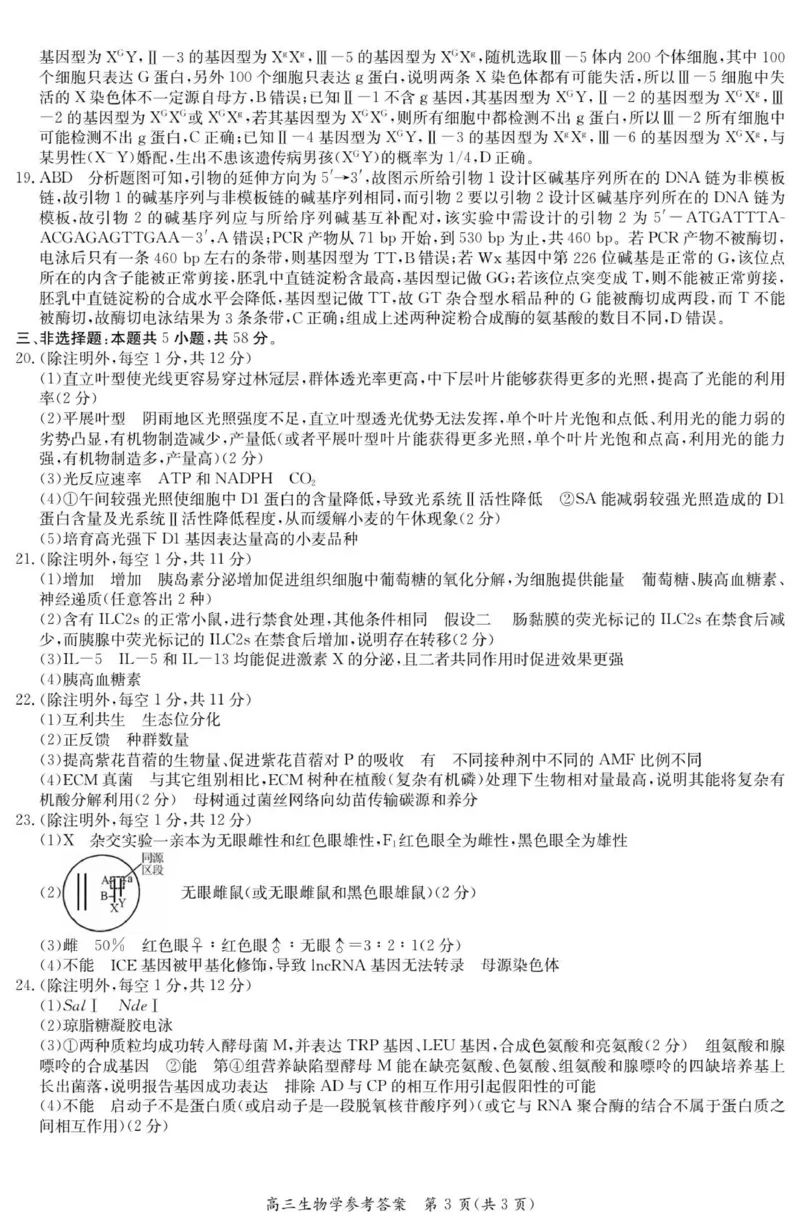 6169C生物学DA_2025年12月_251229江苏省新高考基地学校2026届高三上学期第一次大联考（全科）_江苏省新高考基地学校2026届高三上学期第一次大联考生物试卷（含答案）