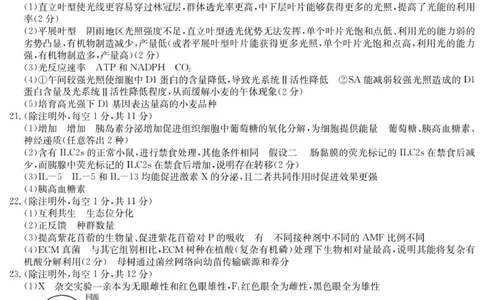6169C生物学DA_2025年12月_251229江苏省新高考基地学校2026届高三上学期第一次大联考（全科）_江苏省新高考基地学校2026届高三上学期第一次大联考生物试卷（含答案）