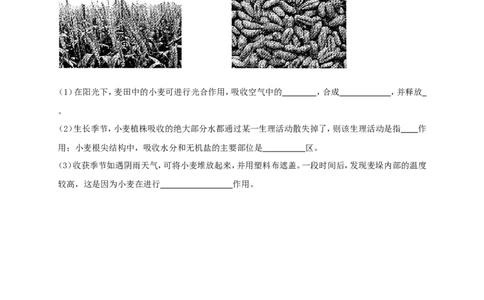 甘肃省武威市（凉州区）2018年中考生物真题试题（含答案）_中考真题_8.生物中考真题2015-2024年_2018年全国中考生物141份