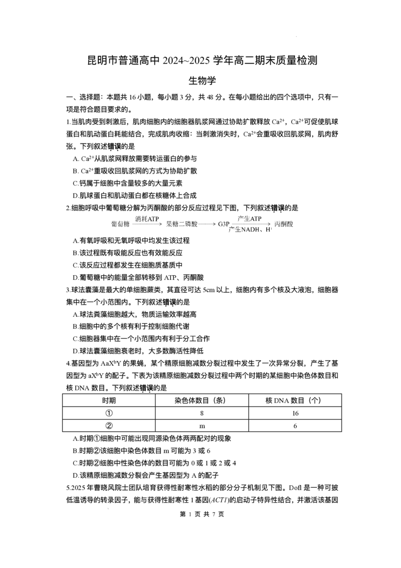 云南省昆明2024-2025学年高二下学期期末质量监测生物试卷（含答案）_2025年7月_250705云南省昆明2024-2025学年高二下学期期末质量监测（全科）