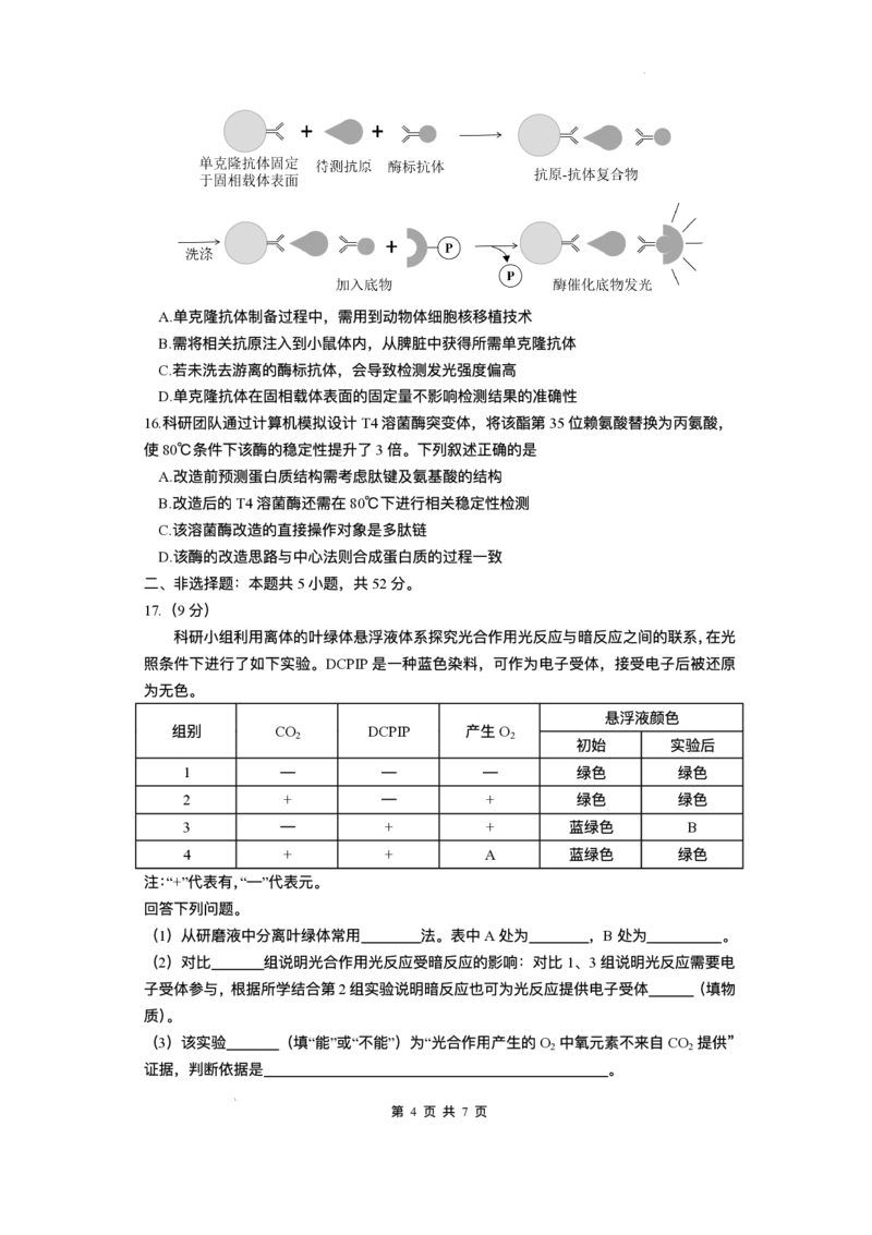 云南省昆明2024-2025学年高二下学期期末质量监测生物试卷（含答案）_2025年7月_250705云南省昆明2024-2025学年高二下学期期末质量监测（全科）