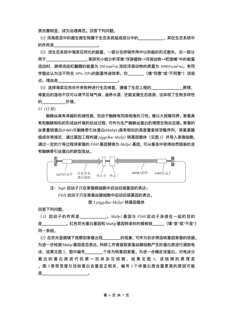 云南省昆明2024-2025学年高二下学期期末质量监测生物试卷（含答案）_2025年7月_250705云南省昆明2024-2025学年高二下学期期末质量监测（全科）