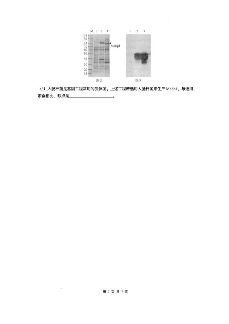 云南省昆明2024-2025学年高二下学期期末质量监测生物试卷（含答案）_2025年7月_250705云南省昆明2024-2025学年高二下学期期末质量监测（全科）