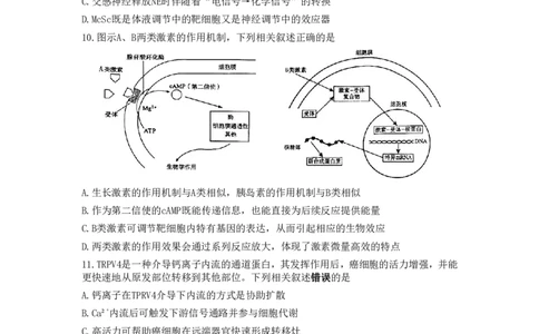 江苏省常州市2025-2026学年高三上学期11月期中考试生物试题_251130江苏省常州市2025-2026学年高三上学期期中考试（全科）