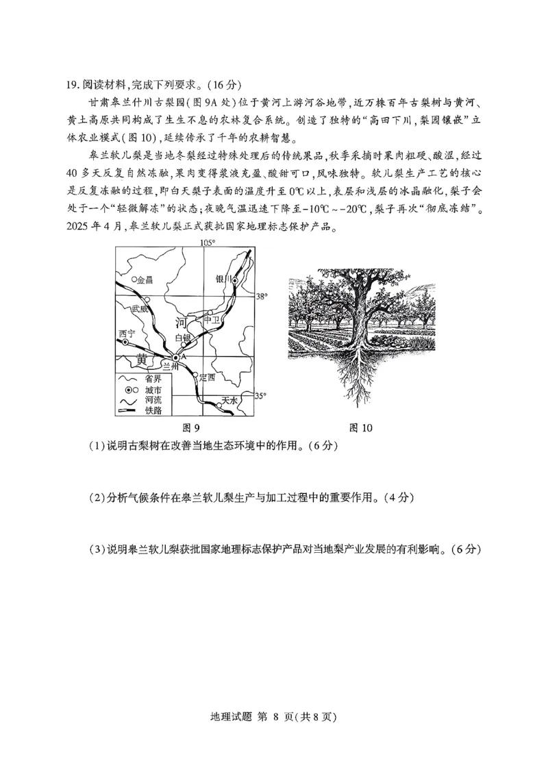 地理试卷-山东省临沂市（北京时代凤凰研究院）2026届高三年级教学质量检测考试（上学期期中）_251116山东省临沂市2026届高三11月教学质量检测（全科）