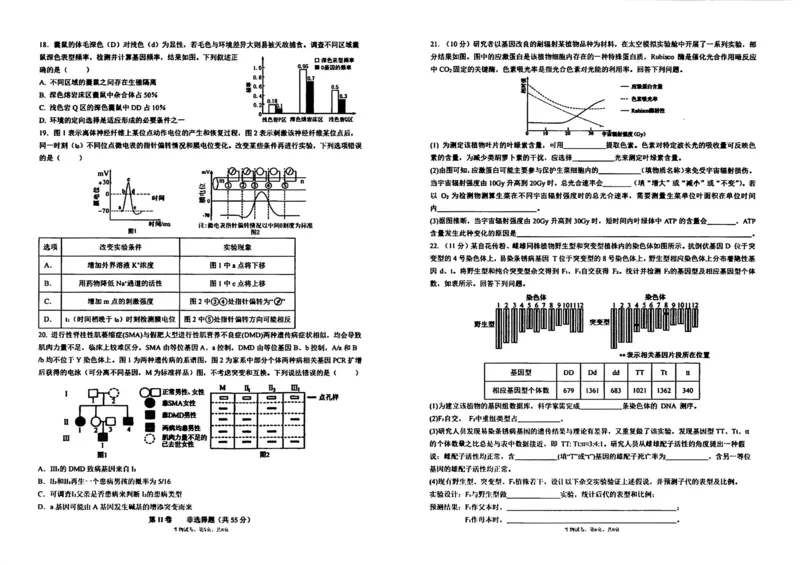 生物试卷-辽宁省实验中学2026届高三上学期期中考试_251114辽宁省实验中学2026届高三上学期期中考试（全科）
