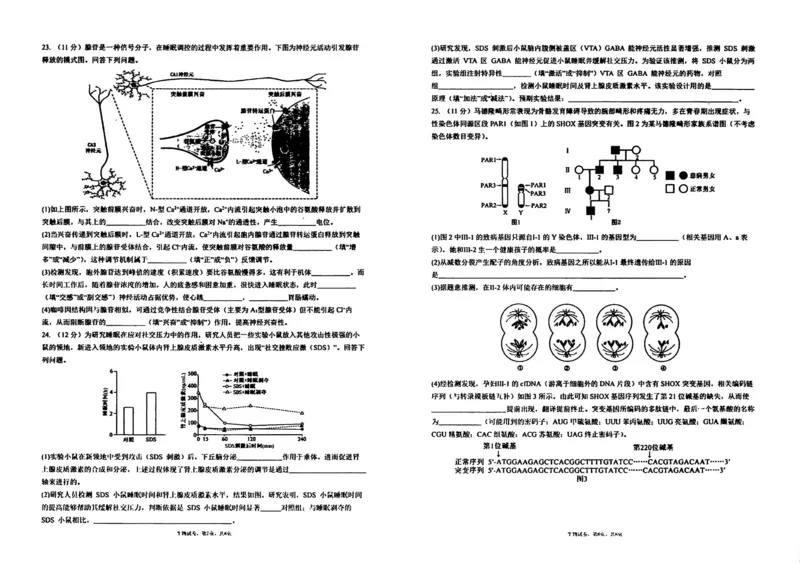 生物试卷-辽宁省实验中学2026届高三上学期期中考试_251114辽宁省实验中学2026届高三上学期期中考试（全科）